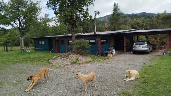 Parcela En Venta En Los Lagos