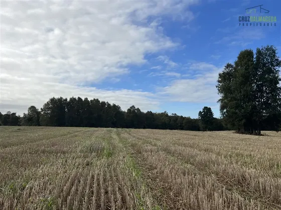Agrícola En Venta En Purranque
