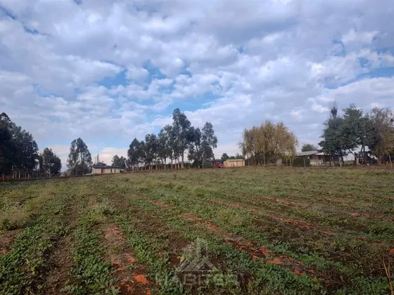 Increible Parcela En Venta En Pelarco 37.437