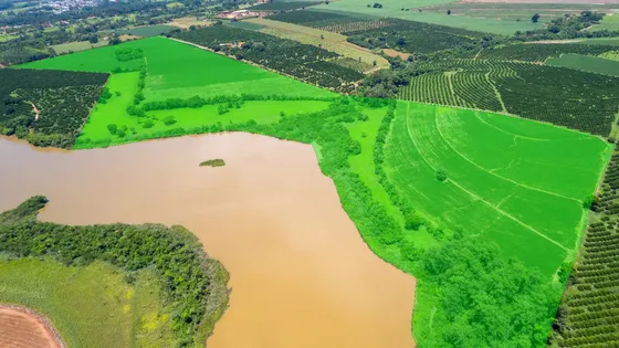 Sítio Amplo E Com Acesso A Represa Em Limeira -sp (jaguari)