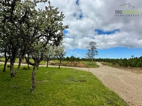 Agrícola En Venta En Maullín