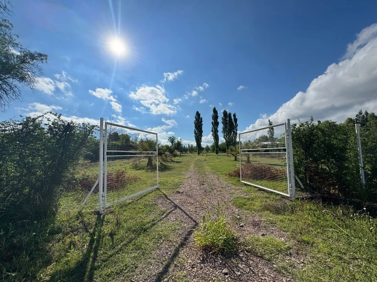 Sale of Farm Land Ideal for Tourist Cabins