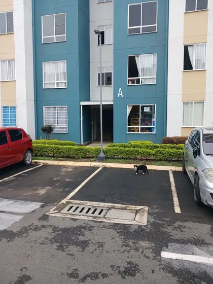 Arriendo Apartamento Poblado Campestre Unidad Sauces 