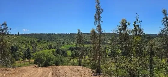 Parcelas A 35 Min De Pichilemu Rol Propio A 10 Min Ruta I-90
