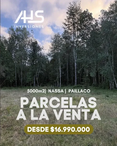 Parcelas De 5.000 M2 En Bosque Nativo Con Río En Paillaco