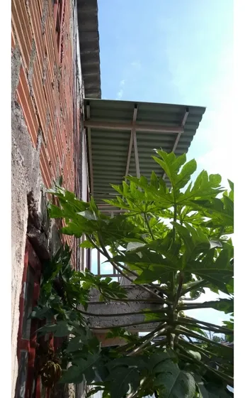 Venta Casa Sur Armenia Quindio- Colombia Cod: 6555896