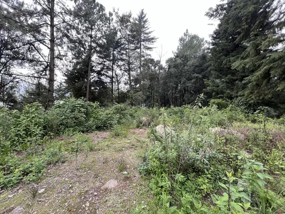 Terreno Las Agujas