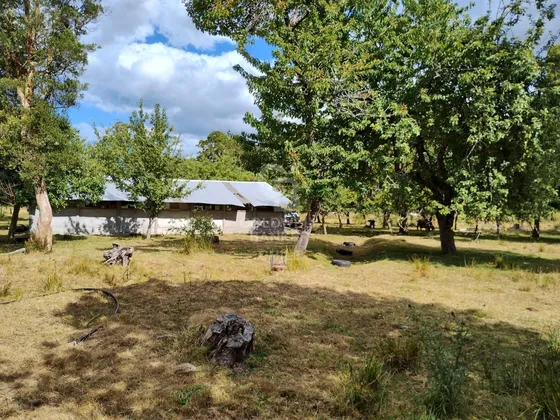 Pradera Y Bosque Nativo I Frutillar