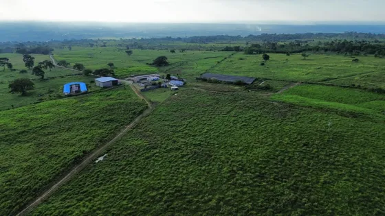 Se Vende Finca De 234 Hectáreas En Tucaní, Mérida