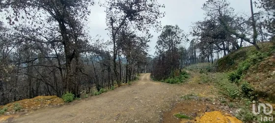 Venta Terreno 0 Ambiente La Sierra