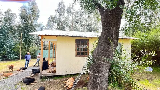 Predio Con Casita 1 Dorm 1 Baño, Bodega Y Árboles Añosos