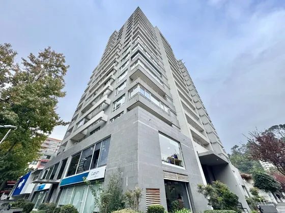 Departamento Tucapel, Concepción Centro.