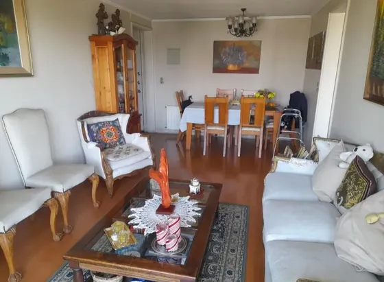 Vendo Lindo Depto 2d 2b 1est 1bo Escelente Sector Ñuñoa