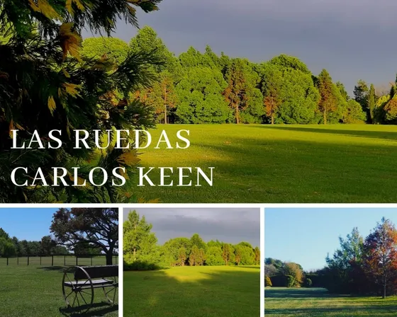 Alquiler Temporal  Las Ruedas Carlos Keen (leer Descripción Por Favor)