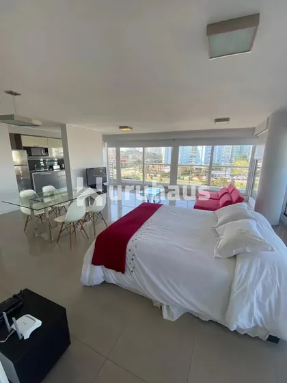 Venta Apartamento Monoambiente Playa Mansa Edificio Alexander Collection