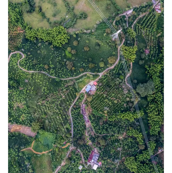 Venta Finca Km 41 Manizales 13 Hectáreas | Finca Productiva