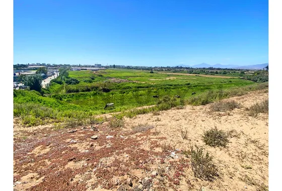 Se Vende Terreno De 5 Hectáreas En La Serena