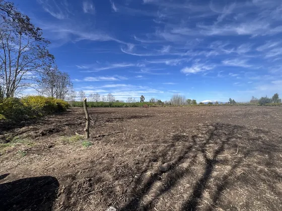 Arriendo Terreno Agricola, Sector Las Tijeras