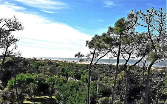 Alquiler Temporal En Mar De Las Pampas . Consultar Por T. Alta
