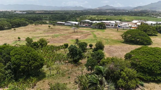 Terreno En Santiago De 141,826 M2 Con Titulo, Acceso A Rio Y Explotacion Agricola O Industrial 