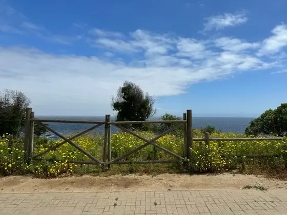 Terreno En Zapallar