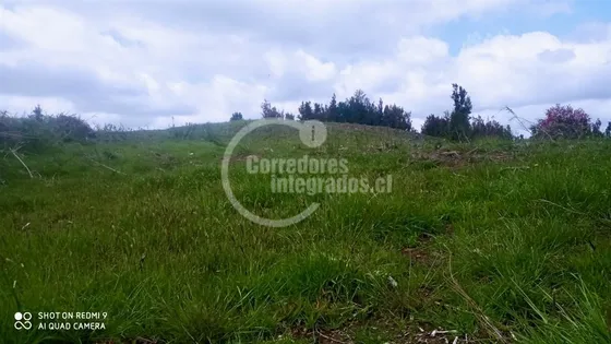 Agrícola En Venta En Ancud