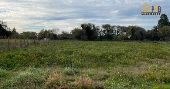 Invierte En El Maule: Hermosa Parcela De 5.000 M² En Fundo 