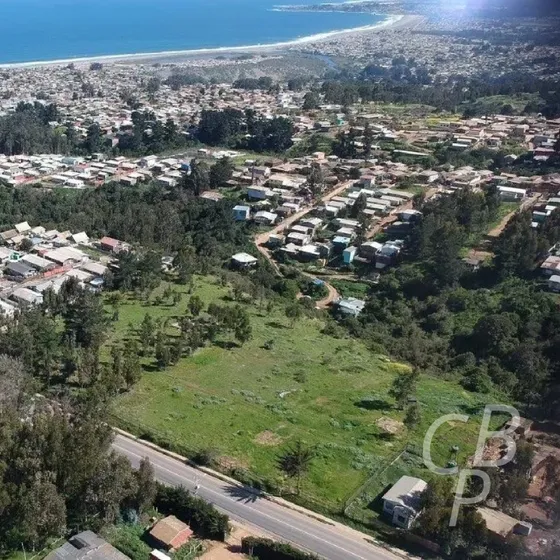 Venta Terreno 10119 Mt2 - Cartagena