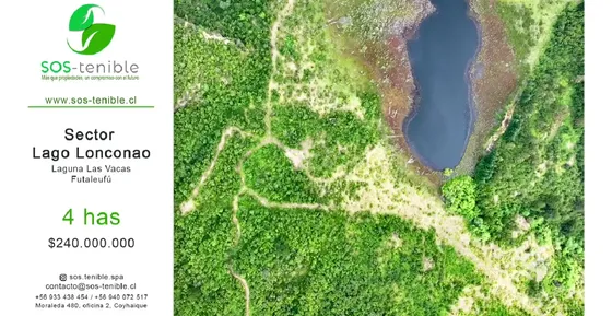 Venta De 4 Has En Futaleufú, Naturaleza Y Laguna Privada