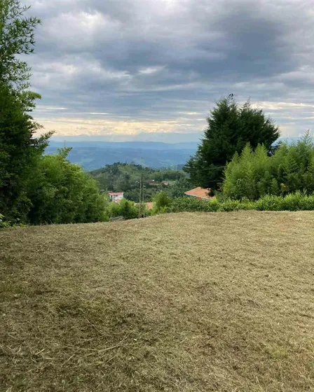 Lote En Venta En El Arenillo/manizales (279061358).