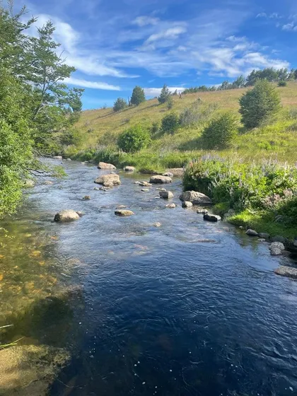 Parcela En Venta En Valle Simpson - A Orilla De Rio Polux Ce