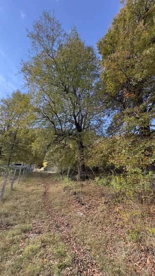 Pp26 Parcela Sector Huechelepun Comuna De Melipeuco