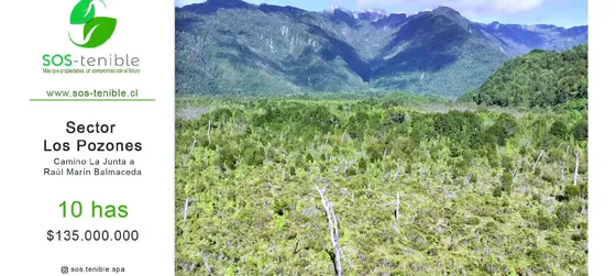 Inversión En Aysén Naturaleza Y Río A Tu Alcance