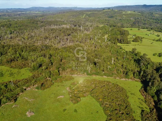 Gran Terreno En Venta Chiloé / Ancud