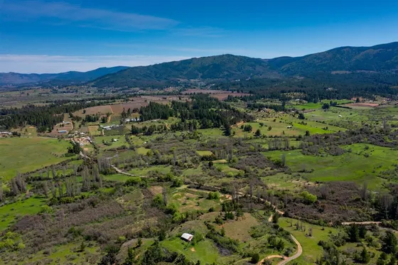 Agrícola En Venta En Cauquenes