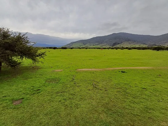 Vivabien Propiedades Vende Terreno 114 Hectareas, 10.000.000