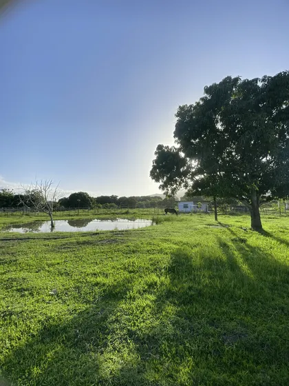 En Venta Parcela Guacara Via Vigirima Mata Redonda Gt23