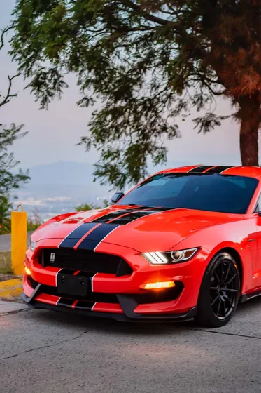 Ford Mustang 5.2l Shelby Gt350 Mt