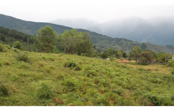 Terreno En Venta De 2.894,98 M2. Sector El Playon Alto, El Valle. Mérida.