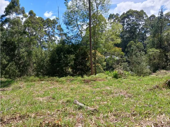 Lote En Venta Sector Hospital San Vicente Fundación En Rionegro