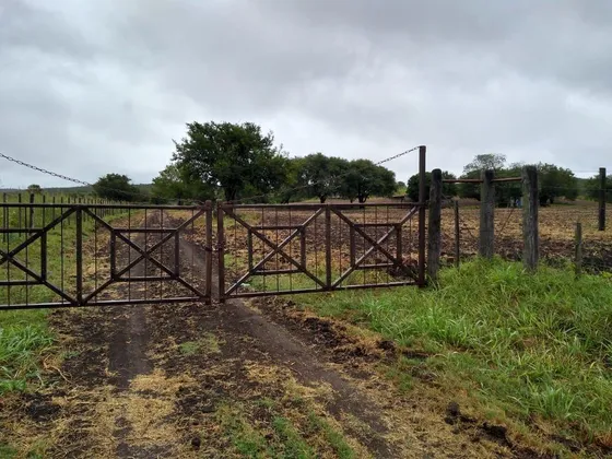 Campo En  Venta En San Jose De La Dormida - Oportunidad - Especial Emprendiemiento