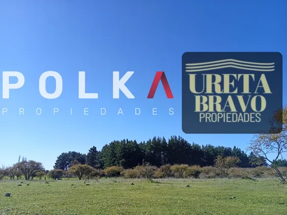 Se Vende 14,3 Ha Chillán Viejo