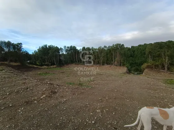 Espectacular Comercial Con Acceso Carretera Y Río