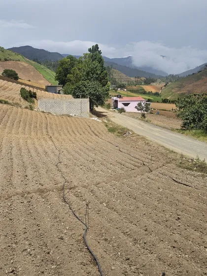 Terreno Agrícola 