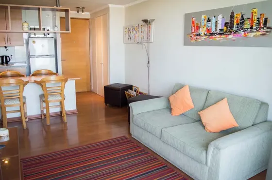 Arriendo Depto Amoblado 1 Habitación - Providencia (747)