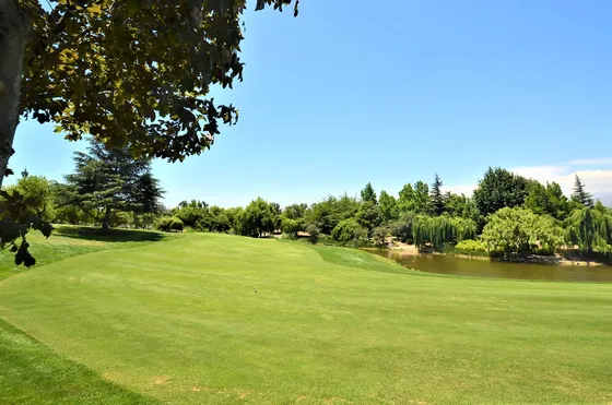 Sitio 3100m2 Golf Las Brisas Chicureo Vista Cordillera