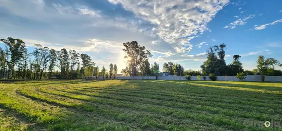 Lote En Venta Pim 1 Parque Industrial