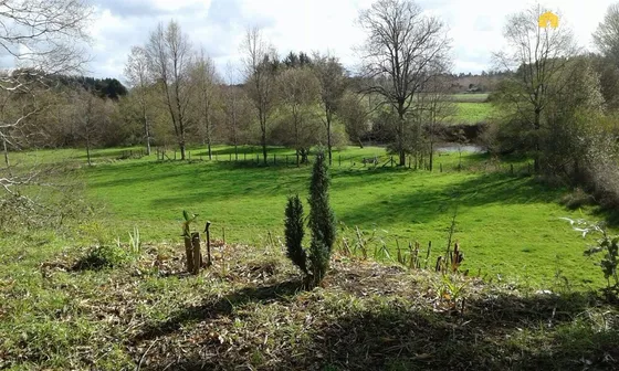 Parcela En Venta En Mafil Valdivia