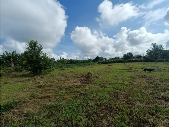 Se Vende Lote Via Puerto Espejo - Pueblo Tapao - Quindío.