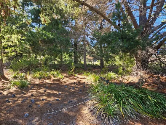 Puertecillo, Terreno Plano De 5.600 M2 En Venta En Condomini